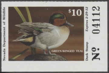 Picture of 2011 Nevada Duck Stamp MNH VF