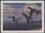 Scan of 1997 Illinois Duck Stamp MNH VF