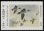 Scan of 1988 Texas Duck Stamp MNH VF