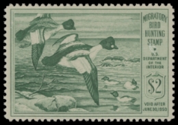 Scan of RW16 1949 Duck Stamp. MLH