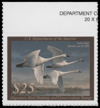 Picture of RW90 2023 Duck Stamp  MNH F-VF