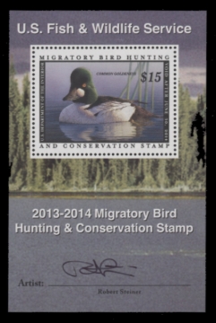 Picture of RW80B 2013 Duck Stamp  MNH F-VF