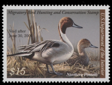 Picture of RW75 2008 Duck Stamp  MNH XF