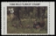 Scan of 1998 National Wild Turkey Federation Wild Turkey Stamp MNH VF