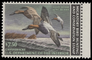 Scan of RW49 1982 Duck Stamp. Unsigned