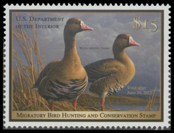 Scan of RW78 2011 Duck Stamp. MNH