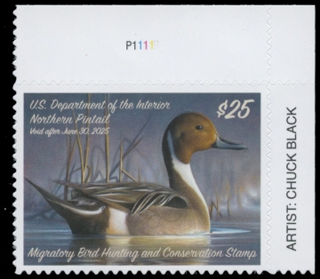 Scan of RW91 2024 Duck Stamp 