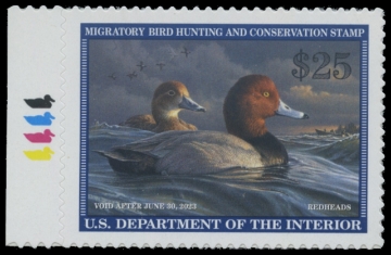Scan of RW89 2022 Duck Stamp 