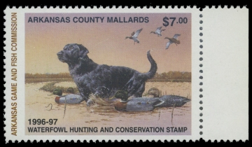 Scan of 1996 Arkansas Duck Stamp