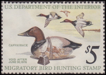 Scan of RW23 1956 Duck Stamp. MLH