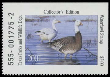 Picture of 2011 Texas Duck Stamp