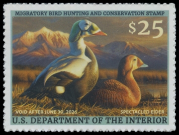 Picture of RW92 2025 Duck Stamp